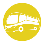 new orleans city bus tours