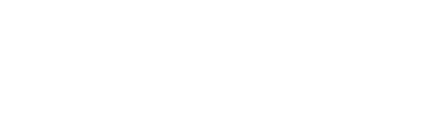 new orleans city tour