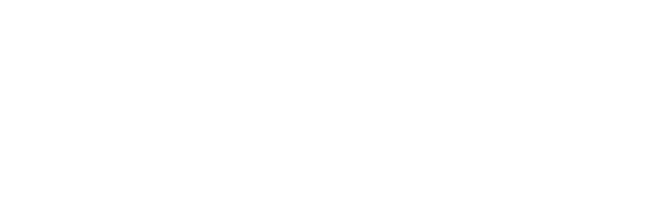 french quarter city tour